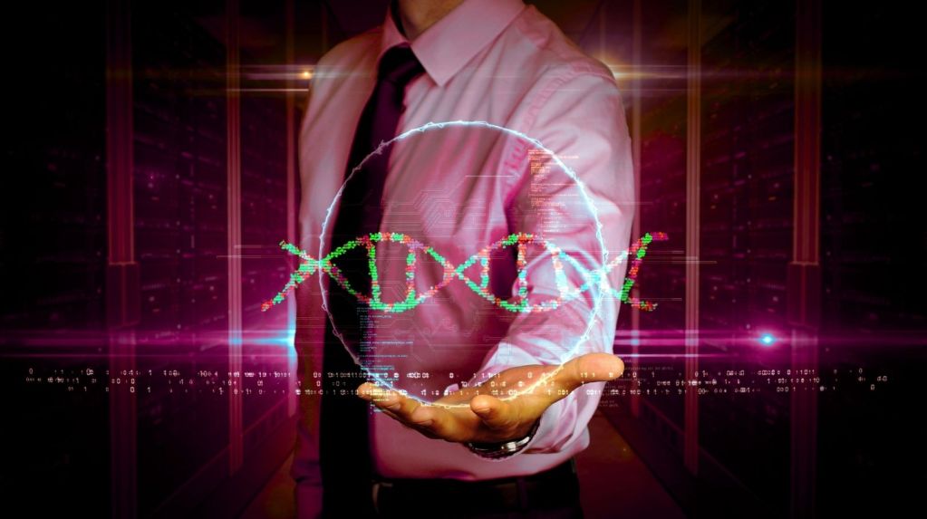 nyberman-service-offerings